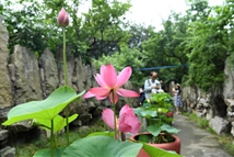 �o�a�@�e�k�ɻ�չ