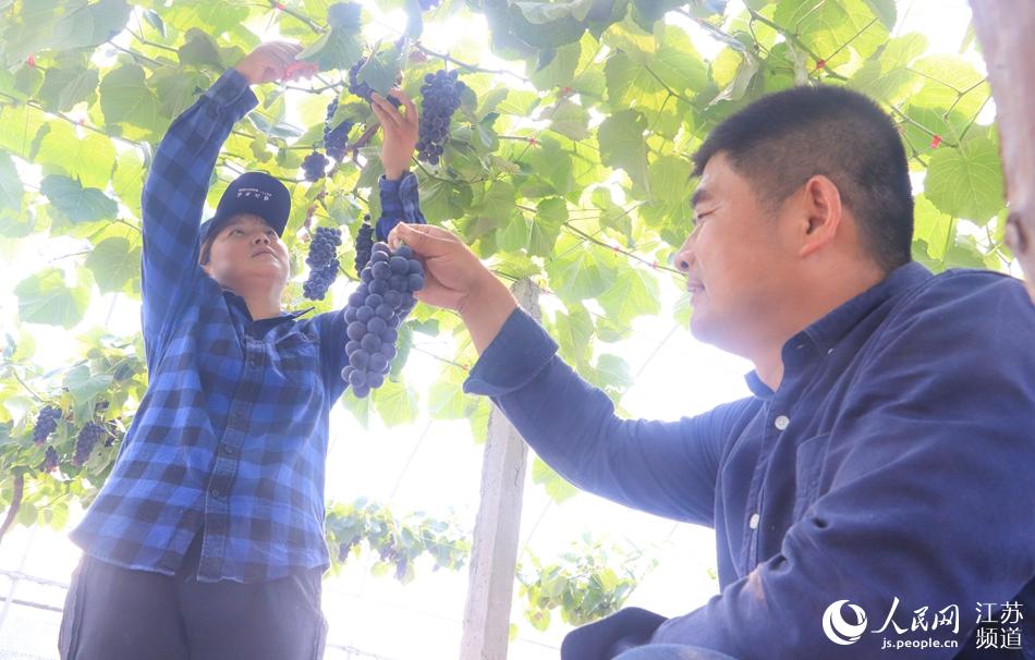 ������Nֲ�ġ��Ͻ����������M(j��n)���ժ�ڡ���־��(gu��)�z