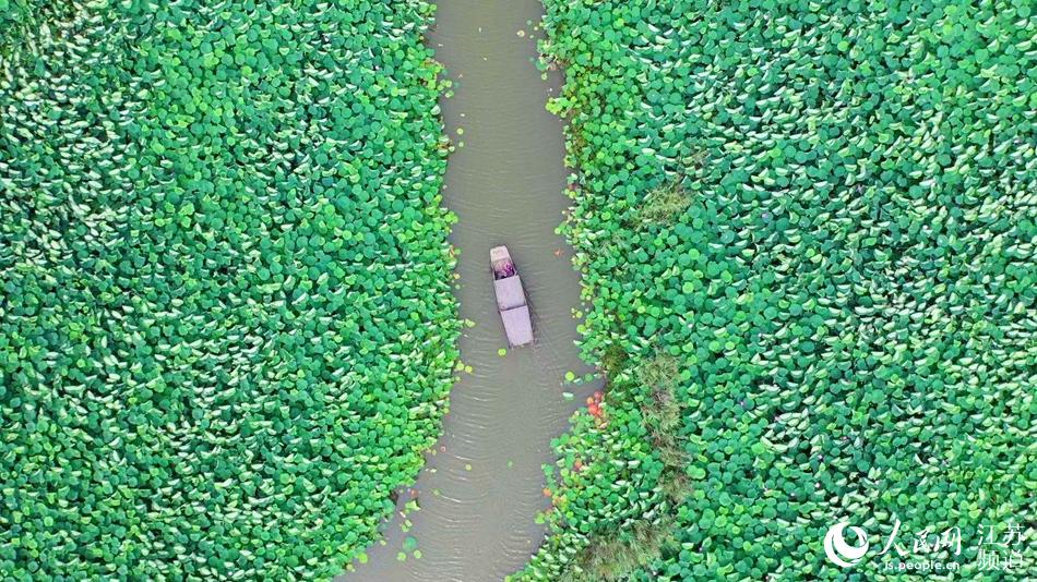 ���ĺ���������z