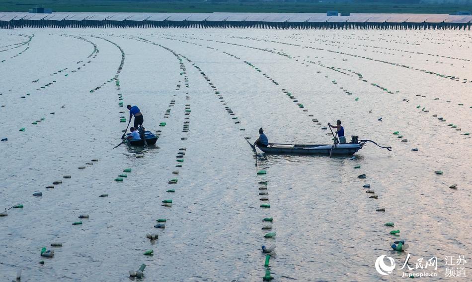 ˮ���B(y��ng)ֳ������Ѳ�������������B(y��ng)ֳ�O(sh��)�������B�A�z