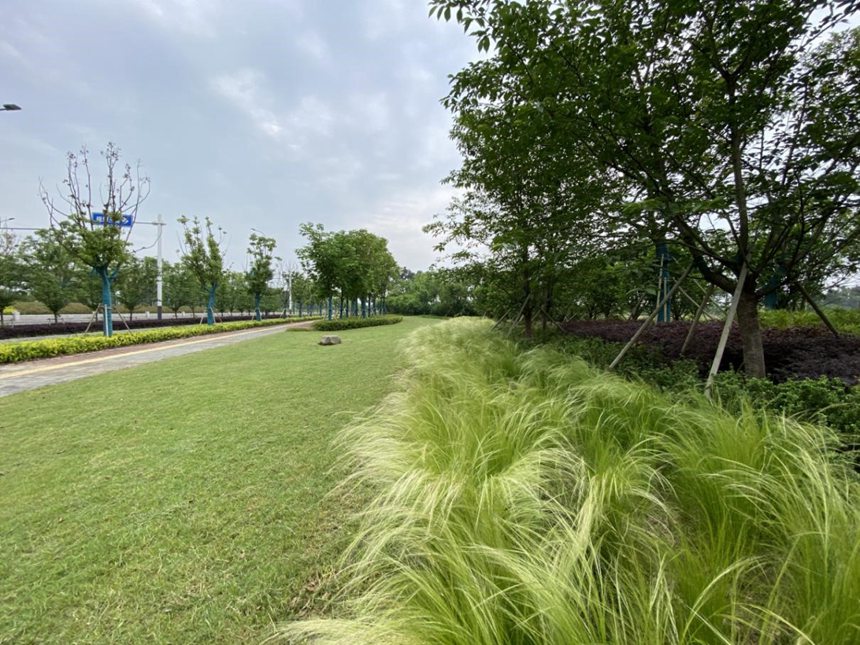 ��(r��n)��������ӹ�����