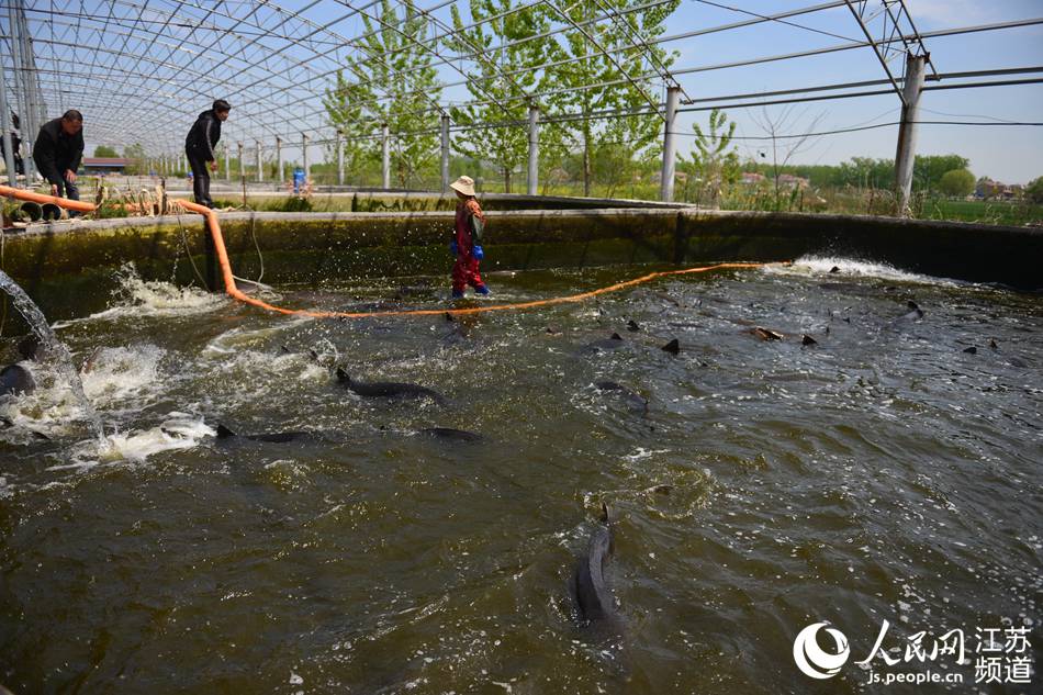 ���V�x��������æ�����~(y��)���ֳ����������z