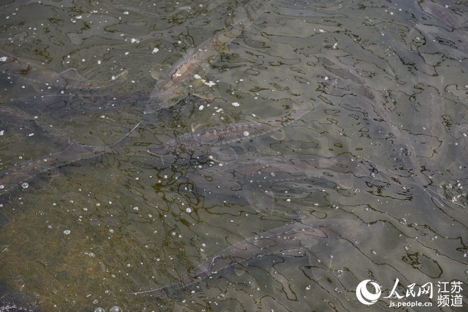 �w�ʹT�����ˮ�\�m�~���������z