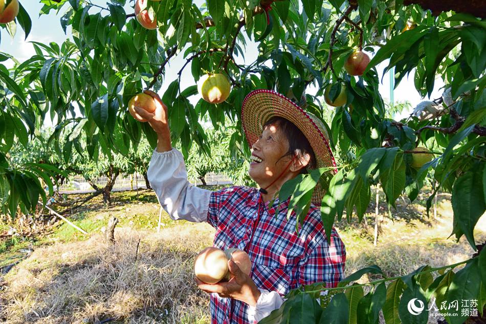 �ɽˮ����ӭ���S�ռ��� ���@��z