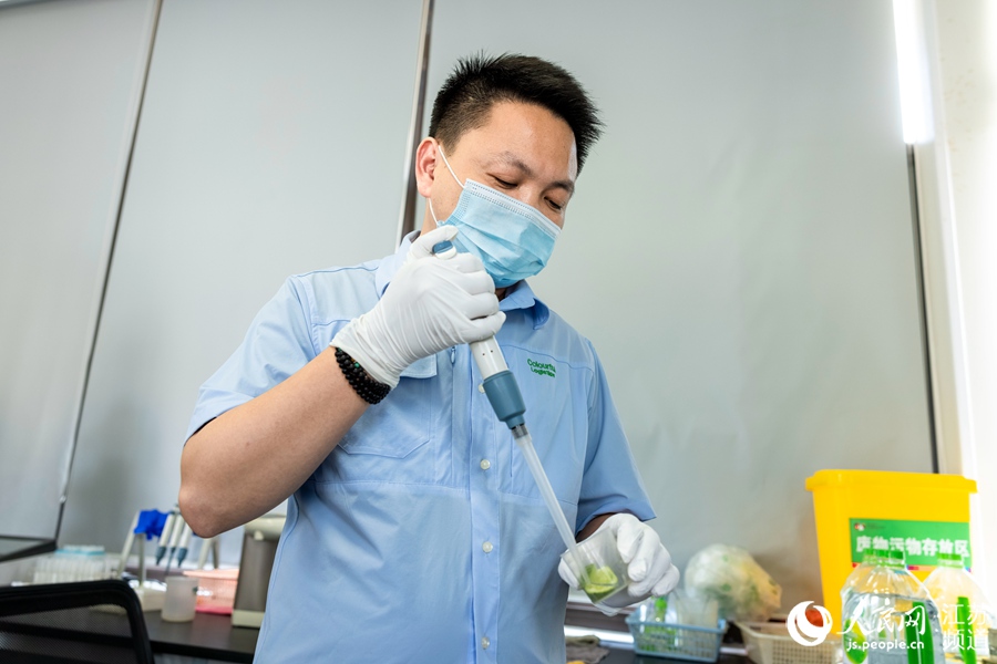 �Ј��z�y���T��(du��)�߲˘ӱ��M(j��n)�п�z���̐��z