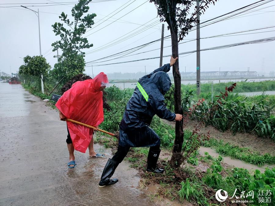 ð���������L(f��ng)�����Ę�ľ���淽�z