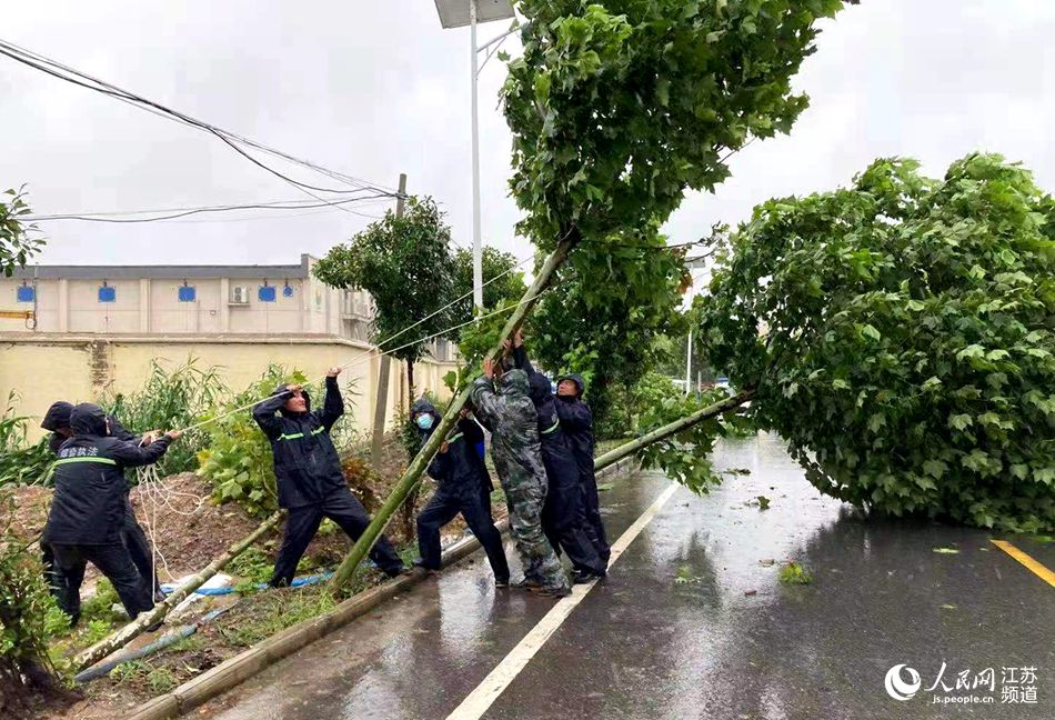 ����������h�����U(xi��n)�(du��)�T���������������L(f��ng)�ε��Ę�ľ���淽�z