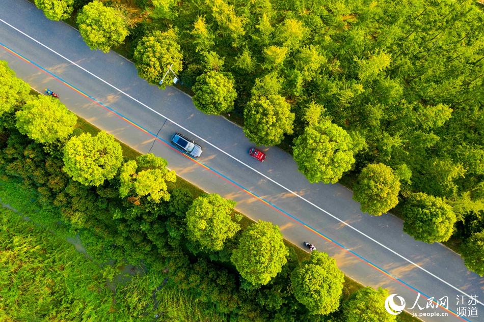 �r(n��ng)�幫·���ֶ��^���o(j��)�����z