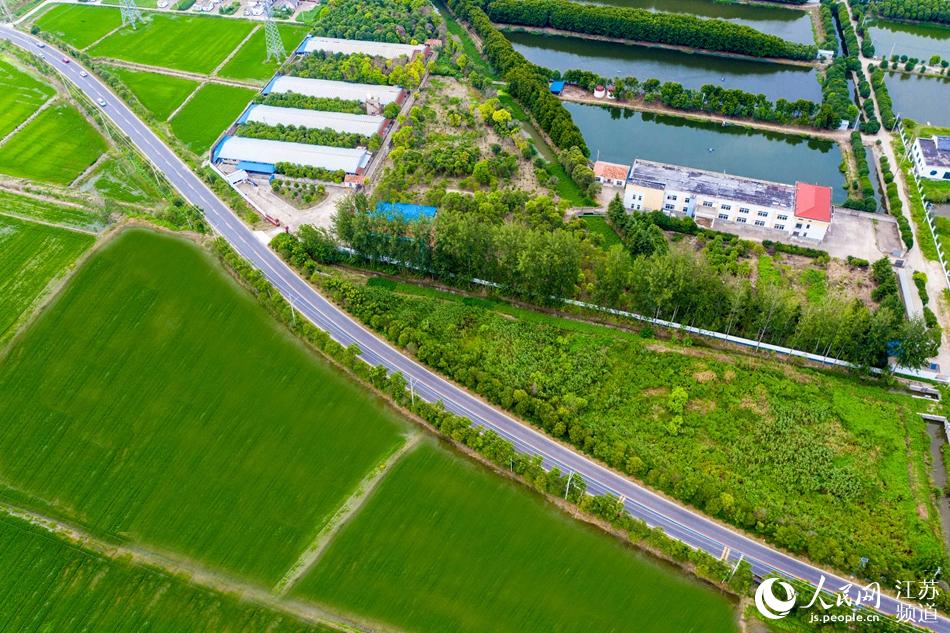 ���ѵ��r(n��ng)�幫·���o(j��)�����z