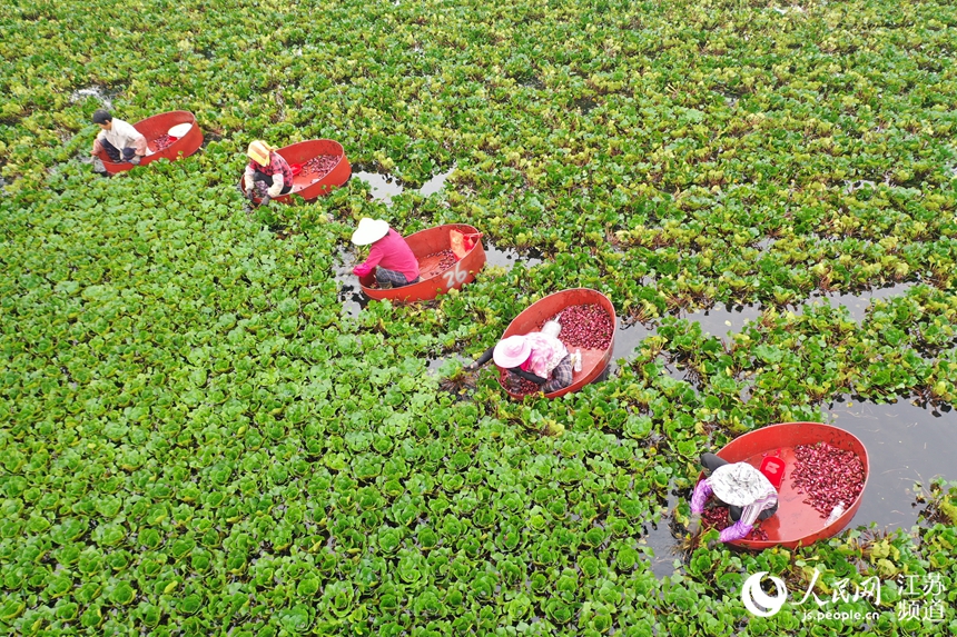 �����к�Ʌ^(q��)�r(n��ng)�����ǡ��f��z