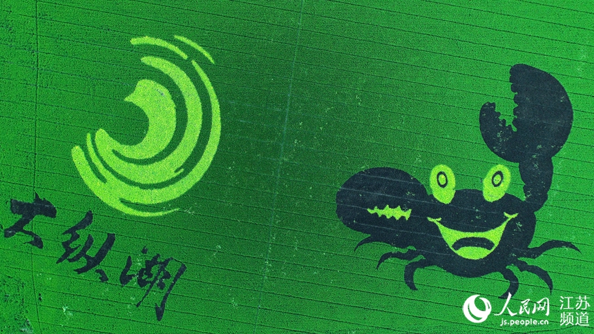 ���������ġ����lз�������ܔz