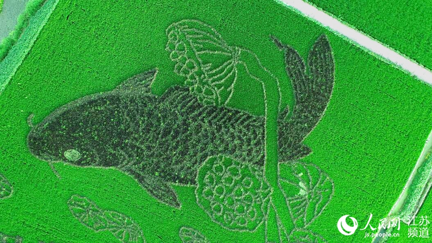 ��ɏ�����С��~��Ԣ���B�����~�����ܔz