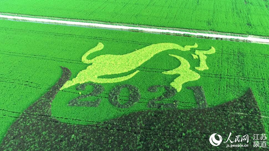 ����ţ�������}�������ܔz