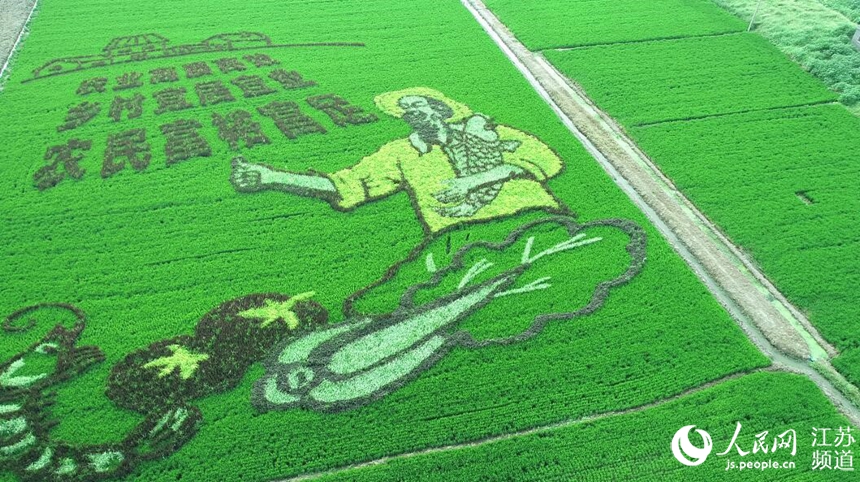 ���l(xi��ng)�����d�����}�������ܔz