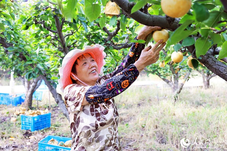 �r����ժ�S��������ɏɏ�z