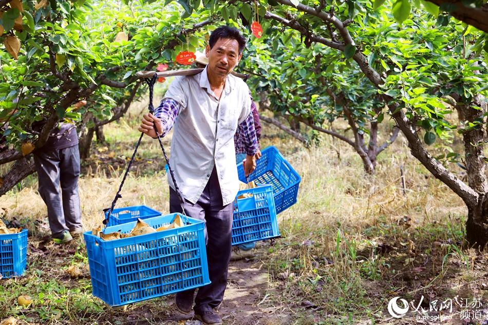 ���ϵē�(d��n)�ӳ���飬�r(n��ng)����������������ɏɏ�z