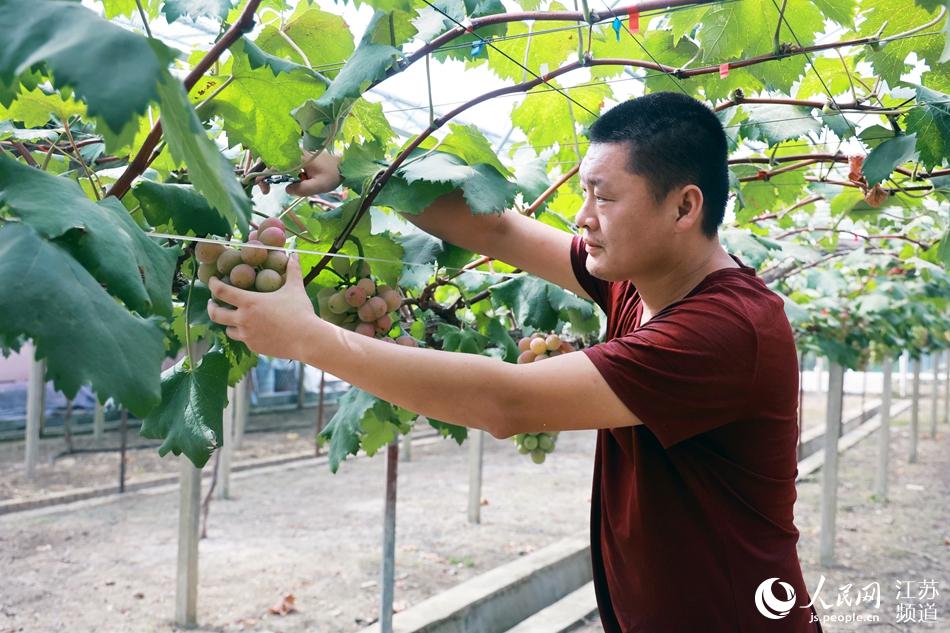 ��ɽ���ѵ�����Ʒ�N���M(j��n)�����Ʒ�L������ɏɏ�z