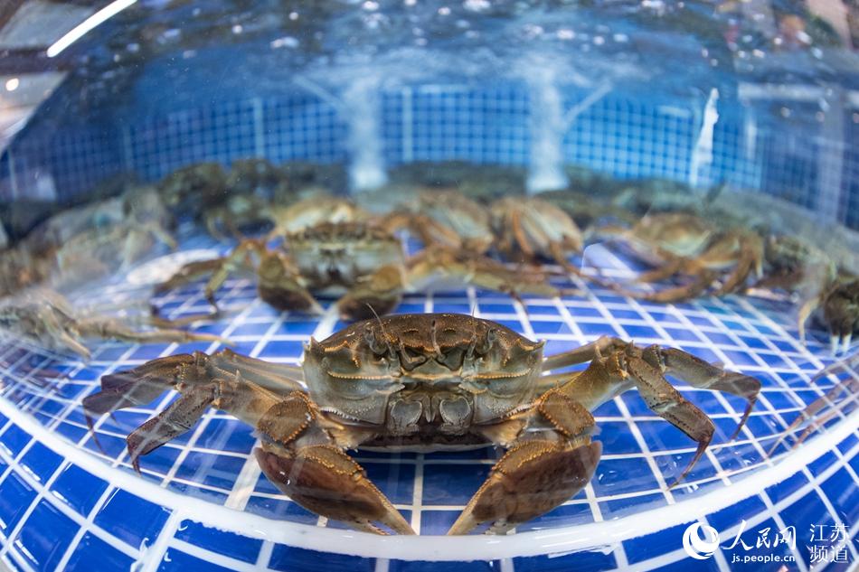 �̑����������۵��з�����Дz