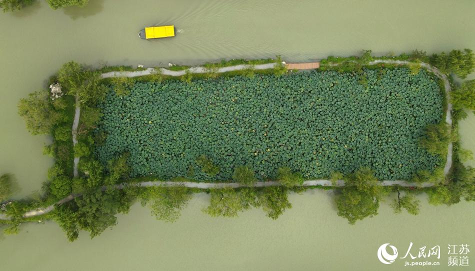 �����������������ϵ����z