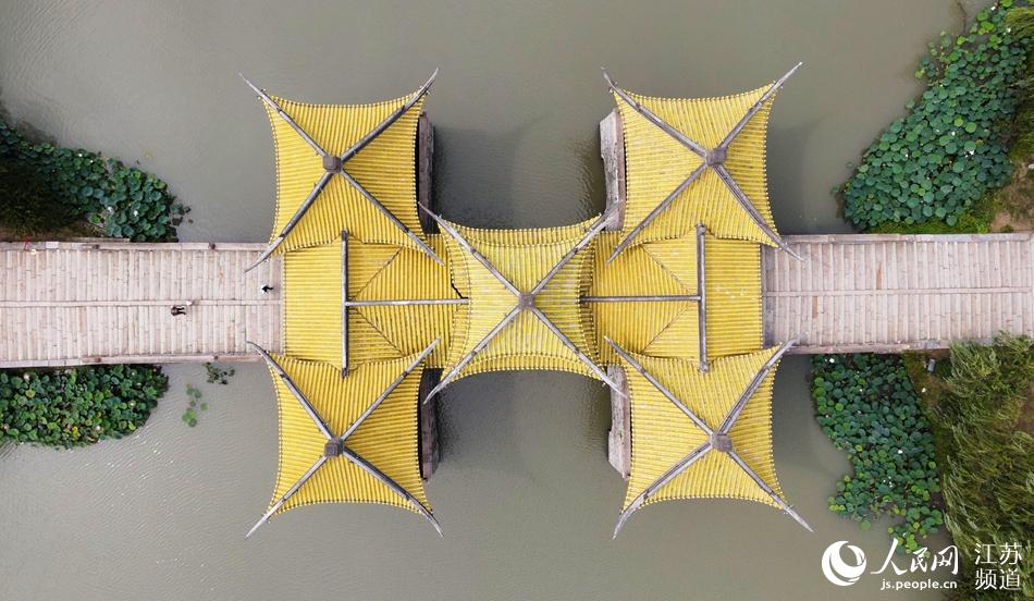 ���и����ͤ�����ϵ����z