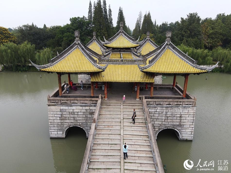 �ο�����ͤ���������ϵ����z