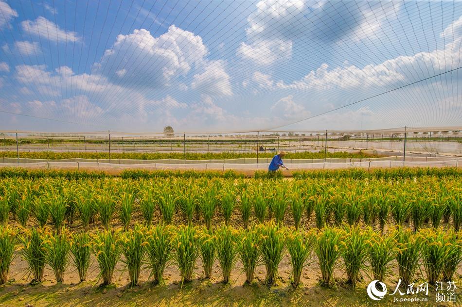 �����ˆT�ڵ��ܹ��������_չ���g���I(y��)�����B�A�z