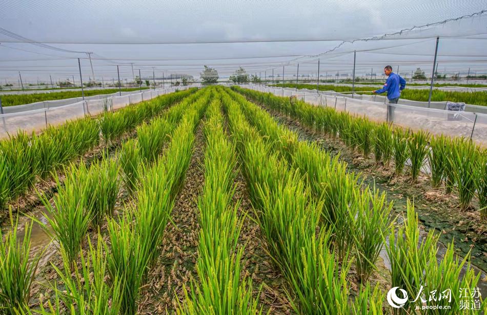 �ЙC(j��)���ͺڰ��܌�ӭ�p�S�ա����B�A�z