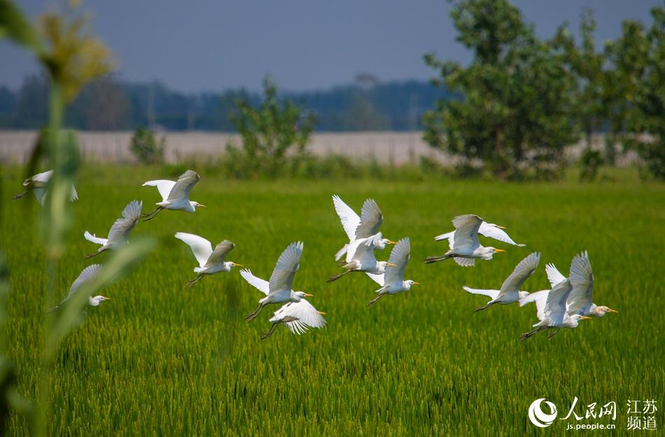 ����֮�ϰ����w��������֮�������Q�ꇡ����B�A�z