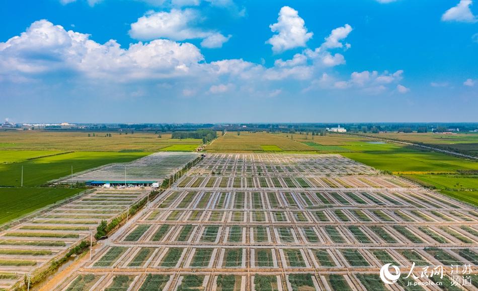 ����hǧ�����ܹ������������B�A�z