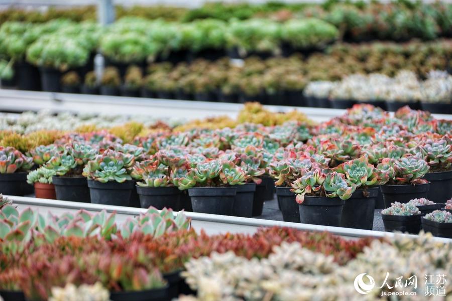 �����辰չ�� ����W(w��ng) �R�c�c�z