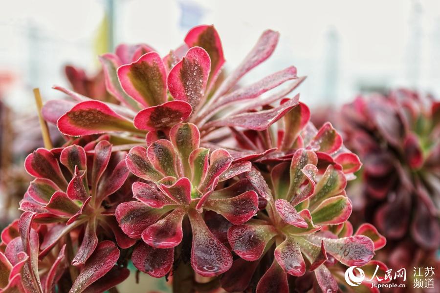 չ�^(q��)һ���� ����W(w��ng) �R�c�c�z