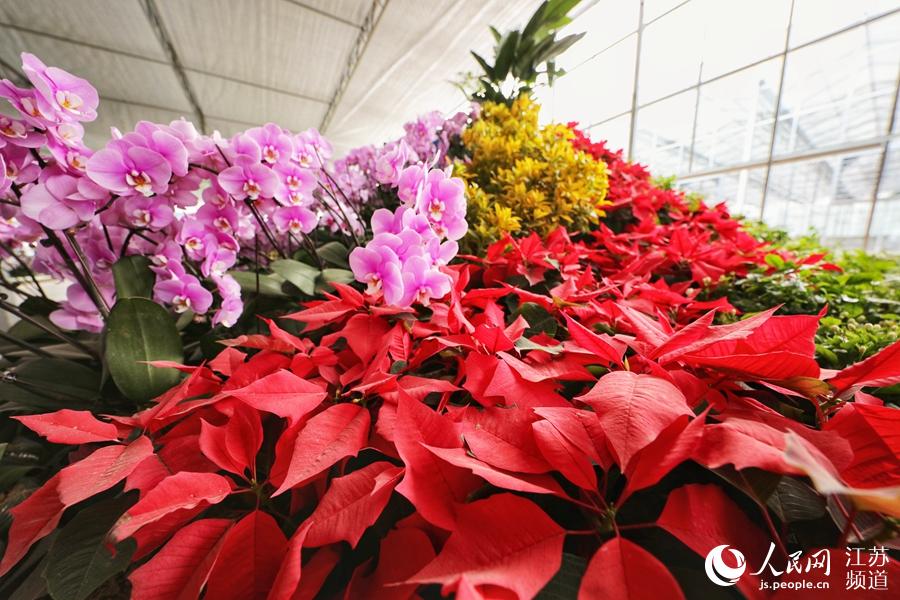 չ�^(q��)�F(xi��n)�����F�\���� ����W �R�c�c�z