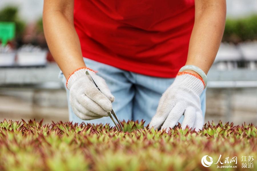 �����ˆT�޼􄂔[��չ�ܵĶ����辰�� ����W(w��ng) �R�c�c�z