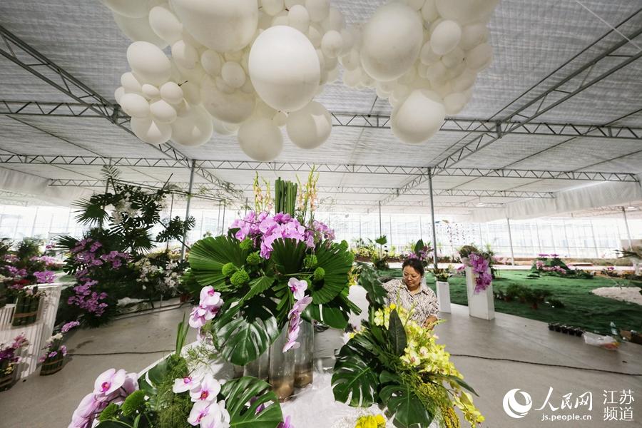 ����?y��n)�����mչ�^(q��)���й�(ji��)�c��ա� ����W(w��ng) �R�c�c�z