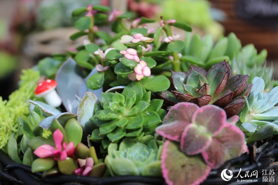 ��ľ��(ji��)�F(xi��n)��(ch��ng)��չƷ��(zh��ng)�涷�G������W(w��ng) �R�c�c�z