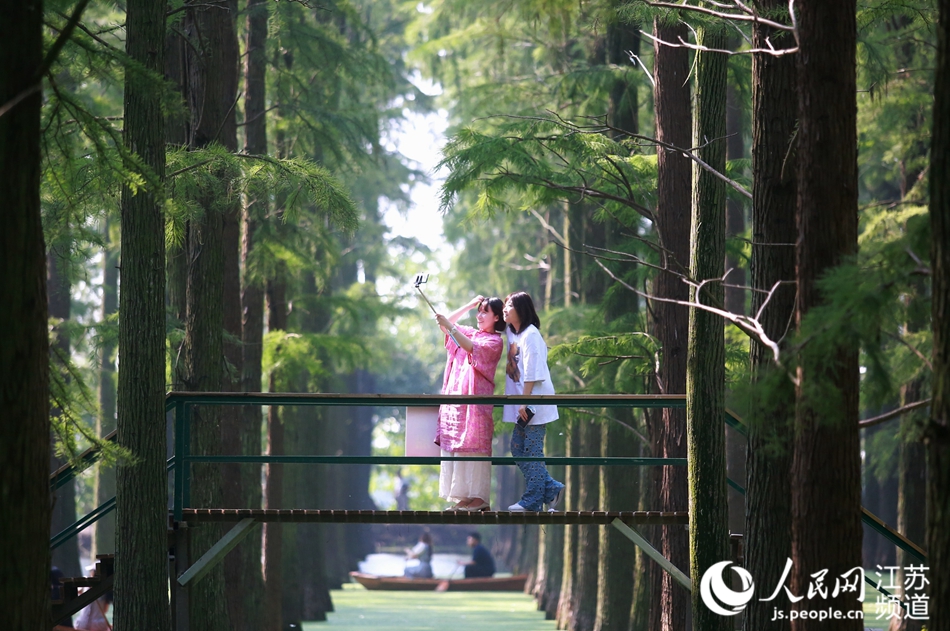 游客在濕地公園打卡。 孟德龍攝