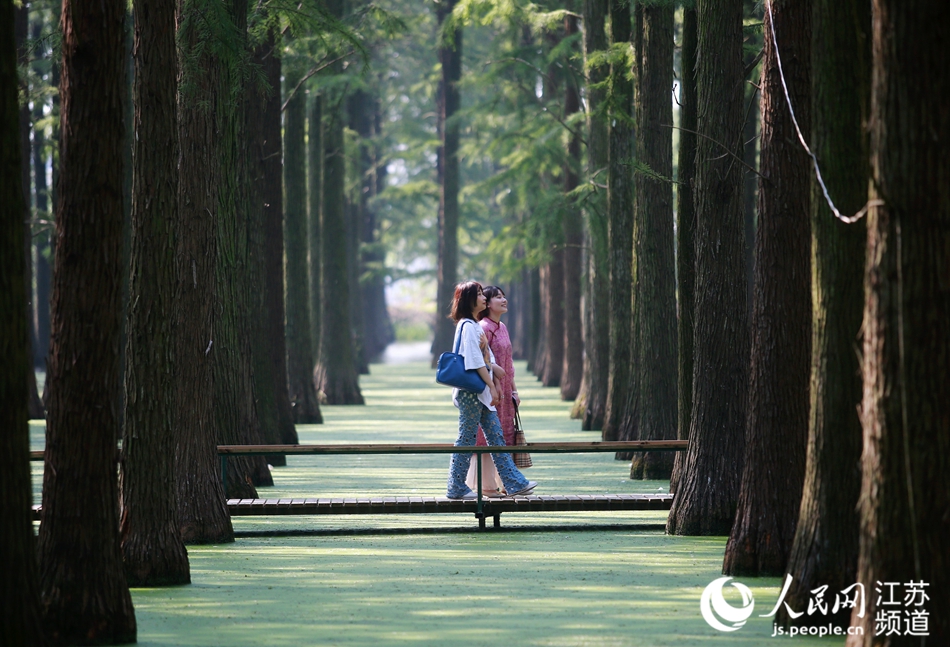 �ο��ڡ�ˮ��ɭ�֡��p���� �ϵ����z