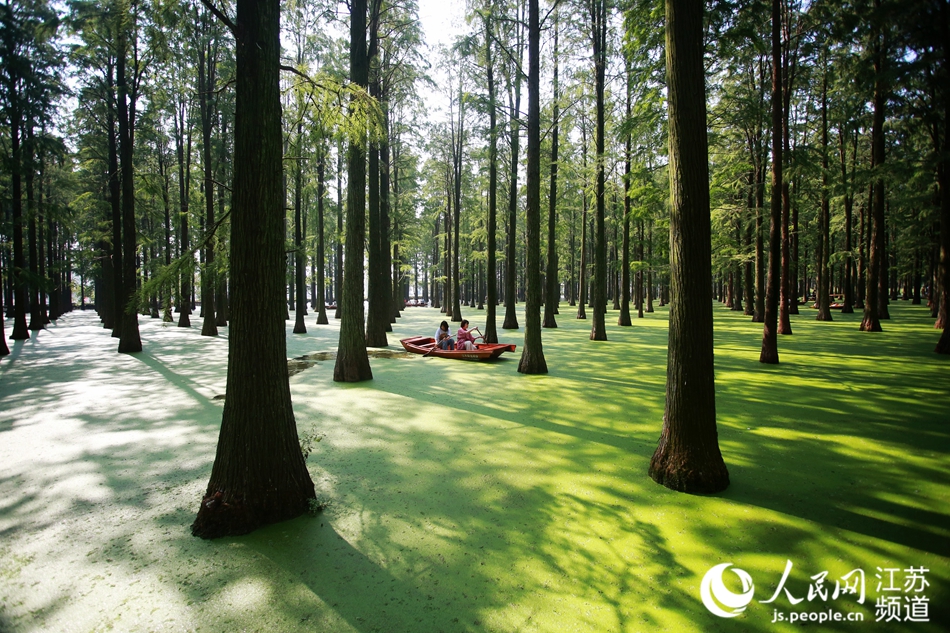 ��ˮ��ɭ�ֺ��L(f��ng)�⡱���ϵ����z