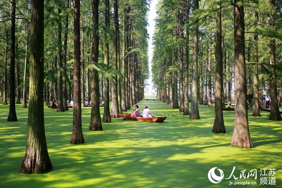 �ο��ڡ�ˮ��ɭ�֡��˴����[���ϵ����z