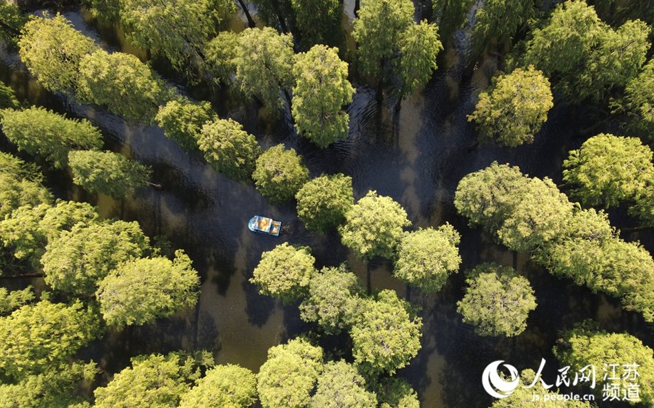 ���ĝ�ع��@���ϵ����z