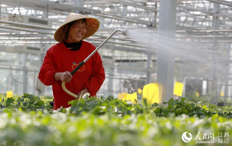 4��10�Քz���P(y��ng)���������^(q��)�����(zh��n)�F(xi��n)���r(n��ng)�I(y��)�a(ch��n)�I(y��)�@�� �ϵ����z