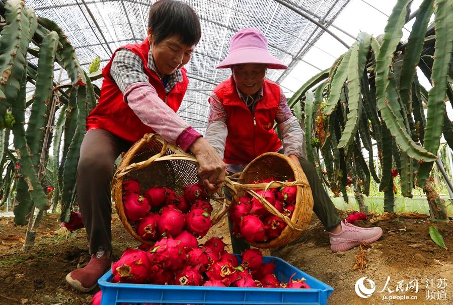 7��23�Քz�����d�н��S�F(xi��n)���r(n��ng)�I(y��)�@ˇ�@���������������Y褔z