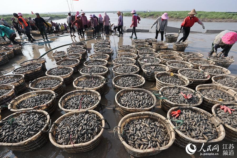 8��15�Քz���B�Ƹ����M�܅^(q��)���f�(zh��n)�O�񂃌����@�ĺ��|�\(y��n)���ϰ���˾���z