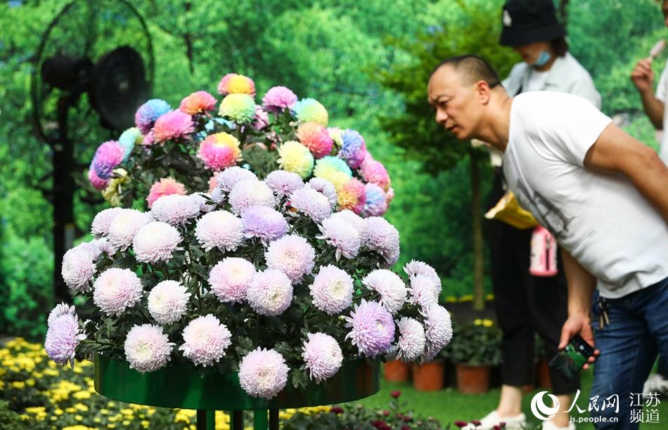 ����ɫ���䡱����������ǰ�^�p���w����z