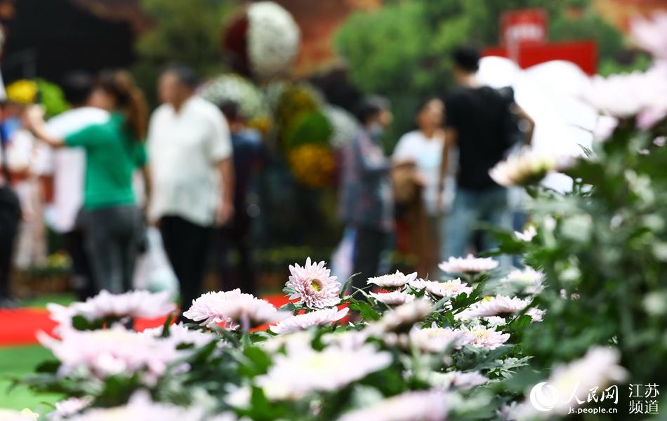 ��ʻ���ӭ�́����w����z