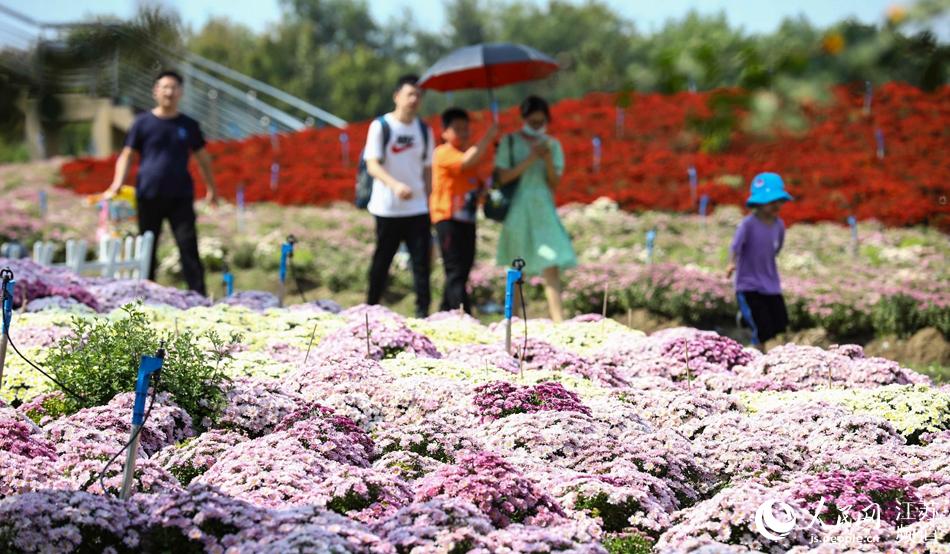 ���f��ջ���ꖹ��±M��`�����w����z