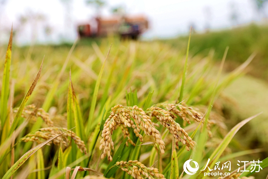 ˮ���ո������S��܊�z