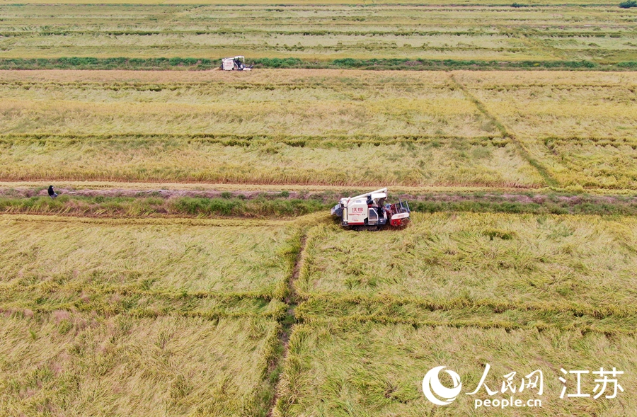 �f��ˮ���_��ո�S��܊�z