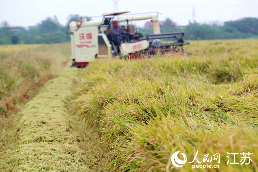 ˮ���ո������S��܊�z