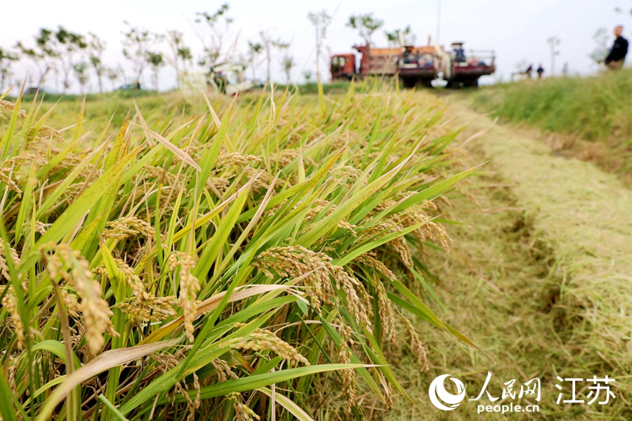 ˮ���ո��С��S��܊�z